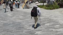 植栽に近づいた画像