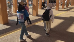 リング下の道路について感想を述べる画像