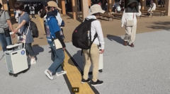 そのまま進むと思ったら、いったん停止する画像