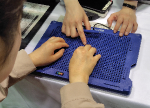 ブレイルドゥードルの裏面